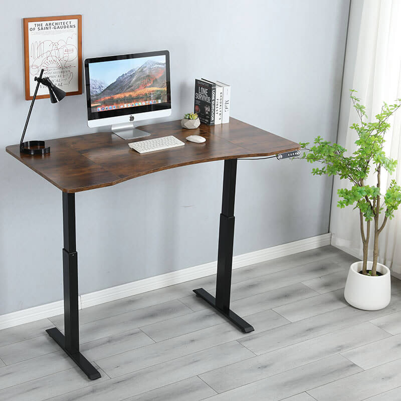 Radlove 55"x 30" Premium Dual Motor Standing Desk Electric Height Adjustable Office Tables for Work Benches, Brown, Oak,White